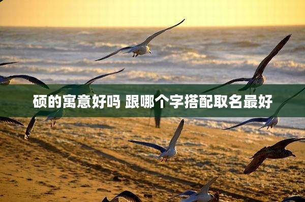 硕的寓意好吗 跟哪个字搭配取名最好