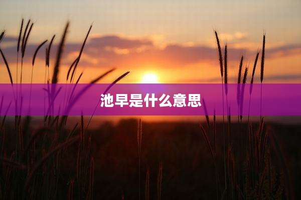 池早是什么意思