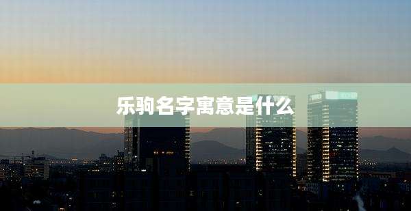 乐驹名字寓意是什么