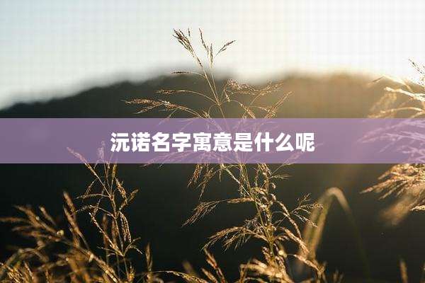 沅诺名字寓意是什么呢