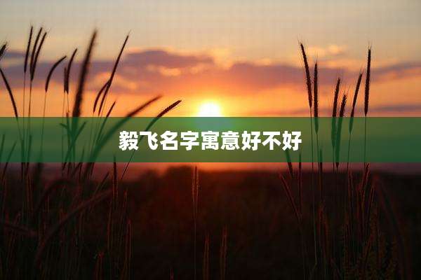 毅飞名字寓意好不好
