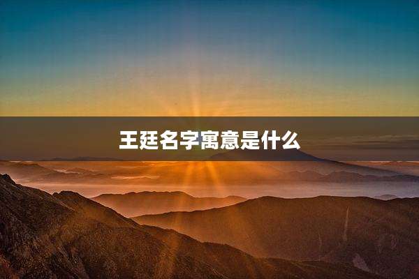 王廷名字寓意是什么