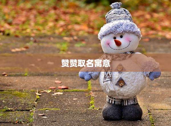 赞赞取名寓意