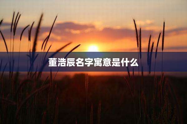 董浩辰名字寓意是什么