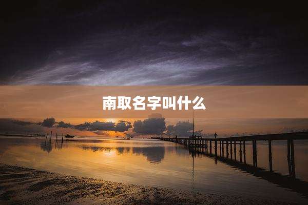 南取名字叫什么