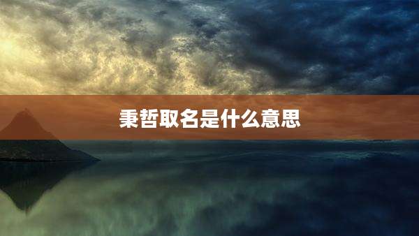 秉哲取名是什么意思