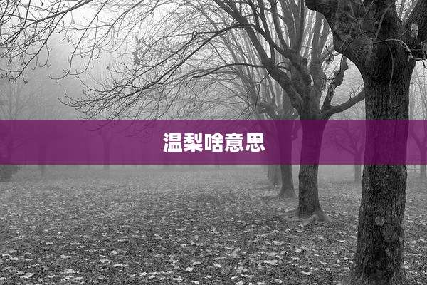 温梨啥意思