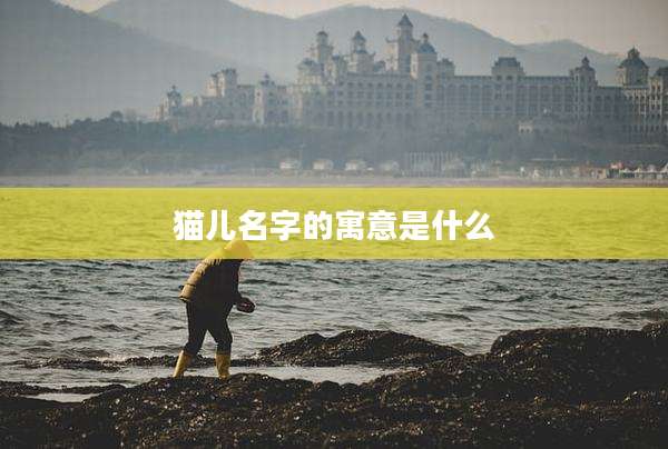 猫儿名字的寓意是什么