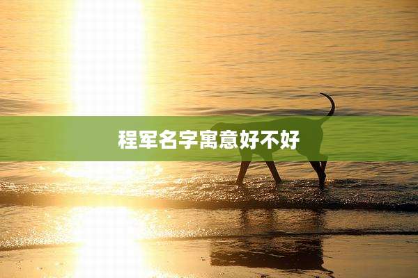 程军名字寓意好不好