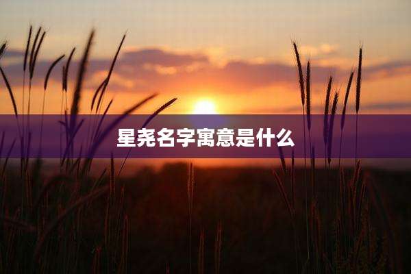 星尧名字寓意是什么