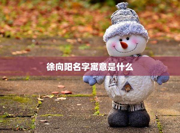 徐向阳名字寓意是什么
