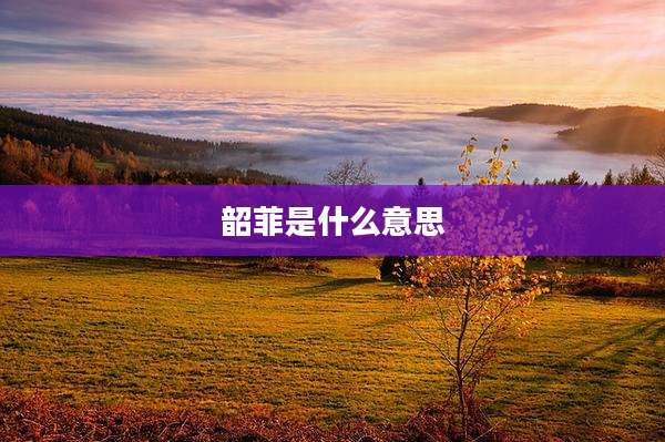 韶菲是什么意思