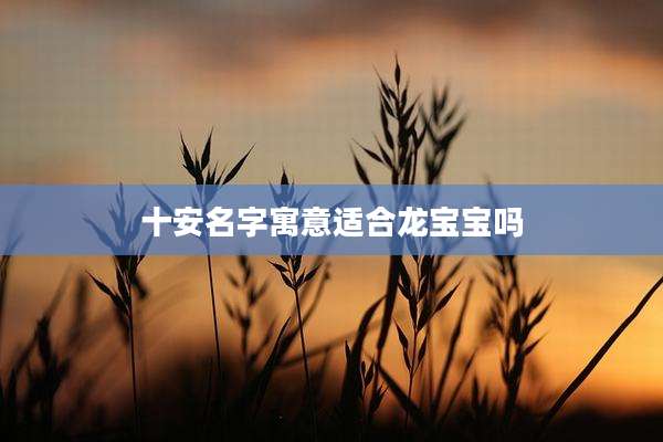 十安名字寓意适合龙宝宝吗