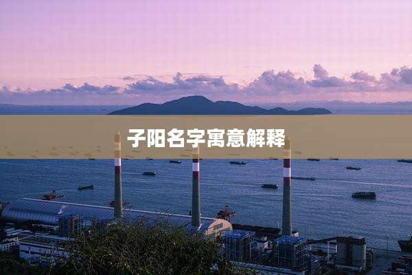 子阳名字寓意解释