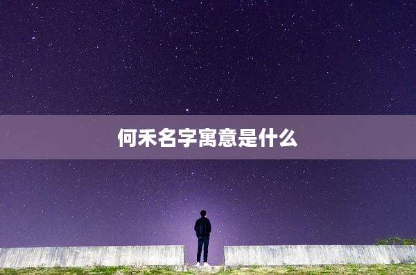 何禾名字寓意是什么