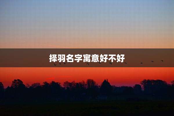 择羽名字寓意好不好