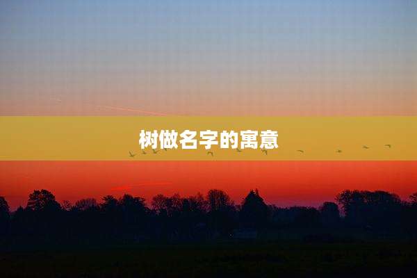 树做名字的寓意