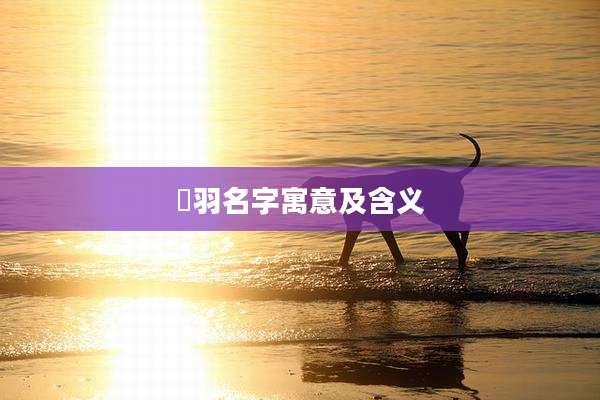 玥羽名字寓意及含义