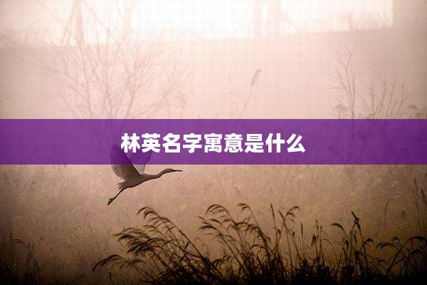 林英名字寓意是什么