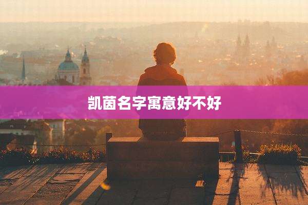 凯茵名字寓意好不好