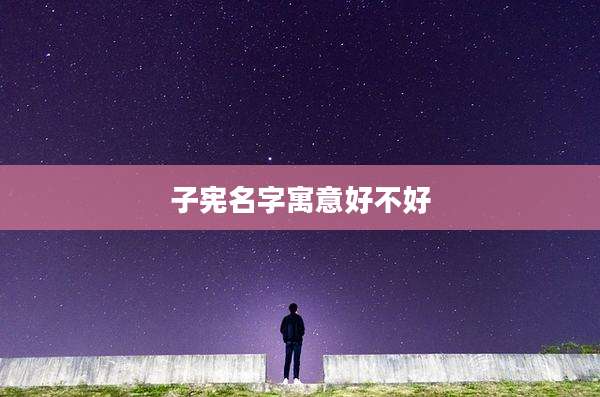 子宪名字寓意好不好