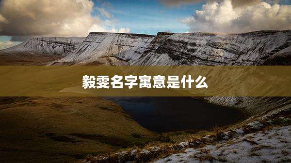 毅雯名字寓意是什么