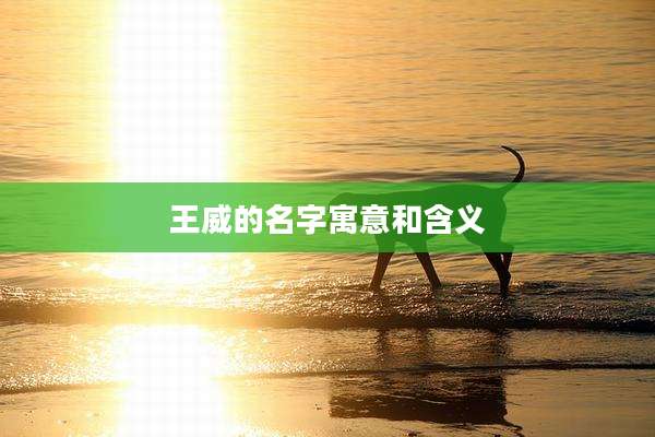 王威的名字寓意和含义