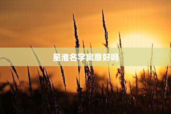 星淮名字寓意好吗