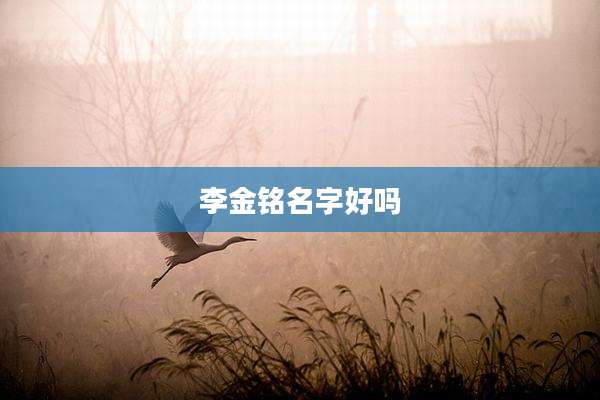 李金铭名字好吗