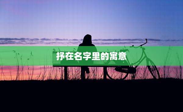 抒在名字里的寓意