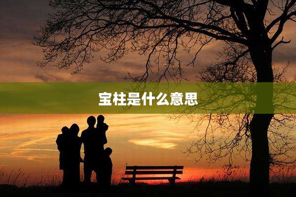 宝柱是什么意思