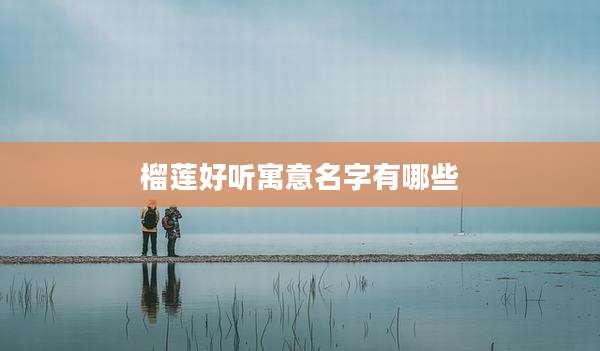 榴莲好听寓意名字有哪些