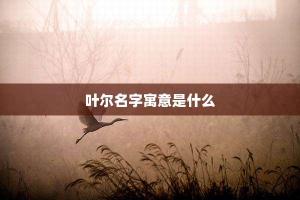 叶尔名字寓意是什么