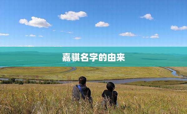 嘉骐名字的由来