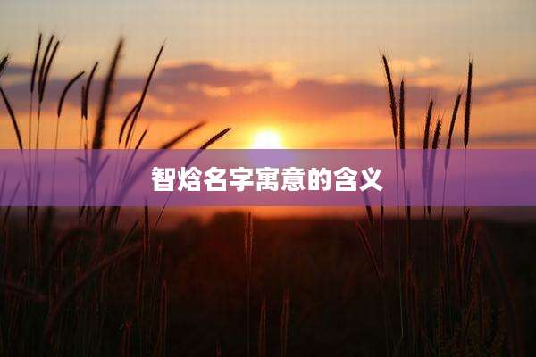 智焓名字寓意的含义
