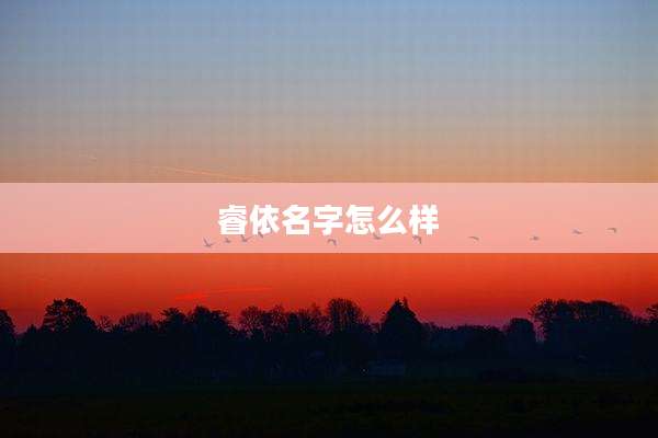 睿依名字怎么样