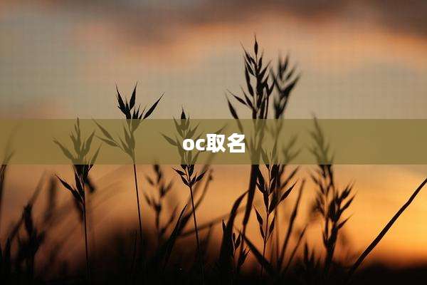 oc取名