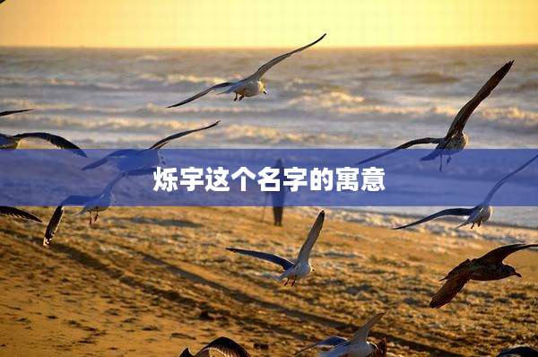 烁宇这个名字的寓意