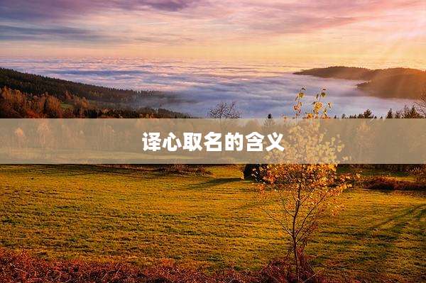 译心取名的含义