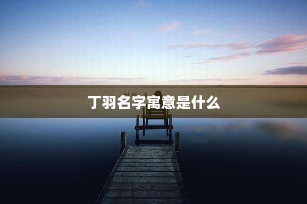 丁羽名字寓意是什么