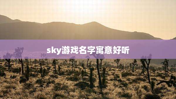 sky游戏名字寓意好听