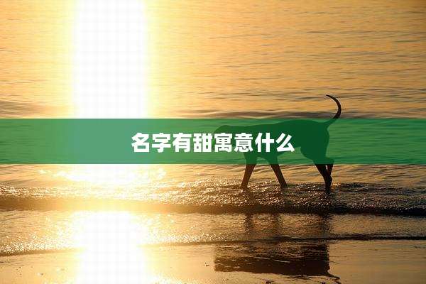 名字有甜寓意什么