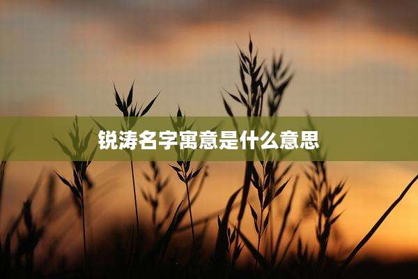 锐涛名字寓意是什么意思