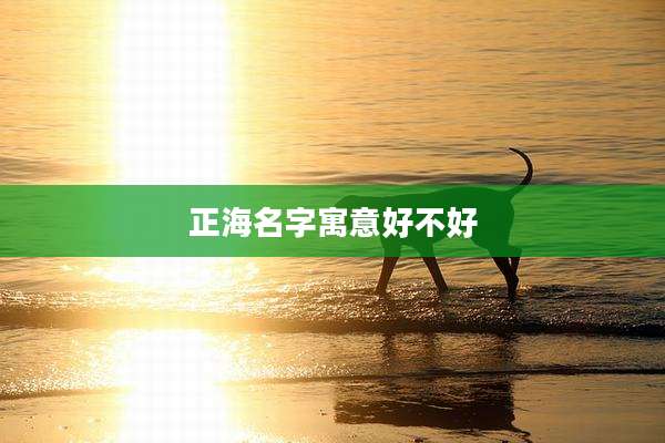 正海名字寓意好不好