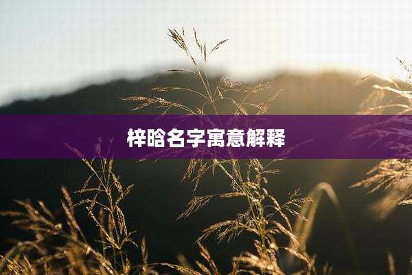 梓晗名字寓意解释