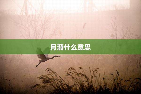 月漪什么意思