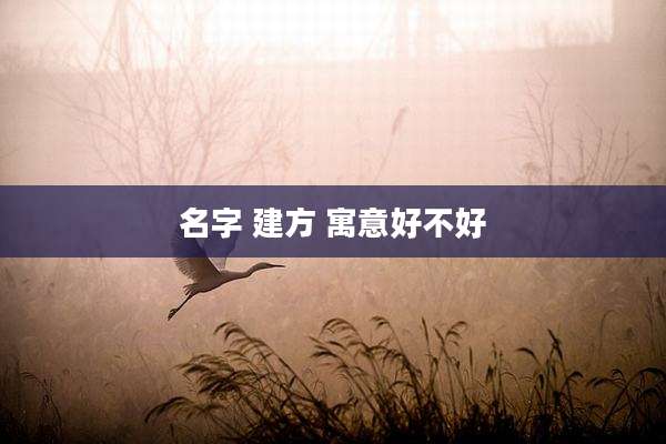 名字 建方 寓意好不好