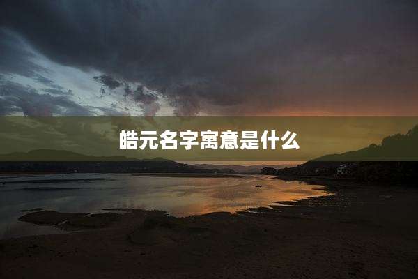 皓元名字寓意是什么