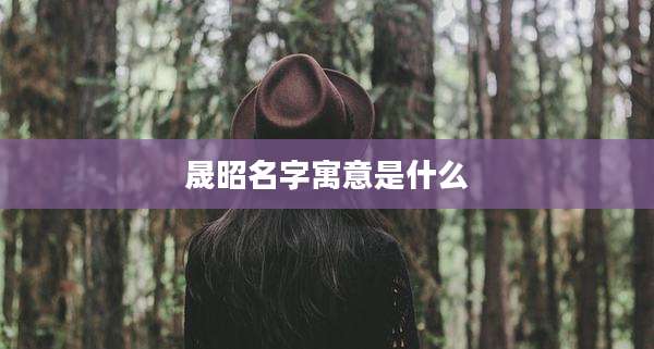 晟昭名字寓意是什么