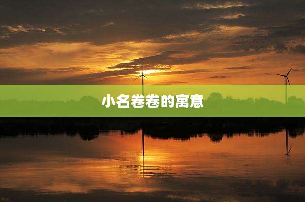 小名卷卷的寓意